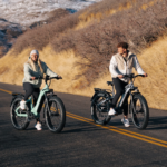 D5(Zebra) / Premium All-Terrain Electric Fat Bike - Image 5