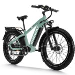 D5(Zebra) / Premium All-Terrain Electric Fat Bike - Image 7