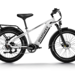 D5(Zebra) / Premium All-Terrain Electric Fat Bike - Image 2