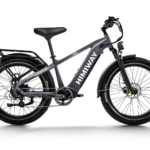 D5(Zebra) / Premium All-Terrain Electric Fat Bike
