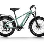 D5(Zebra) / Premium All-Terrain Electric Fat Bike - Image 3